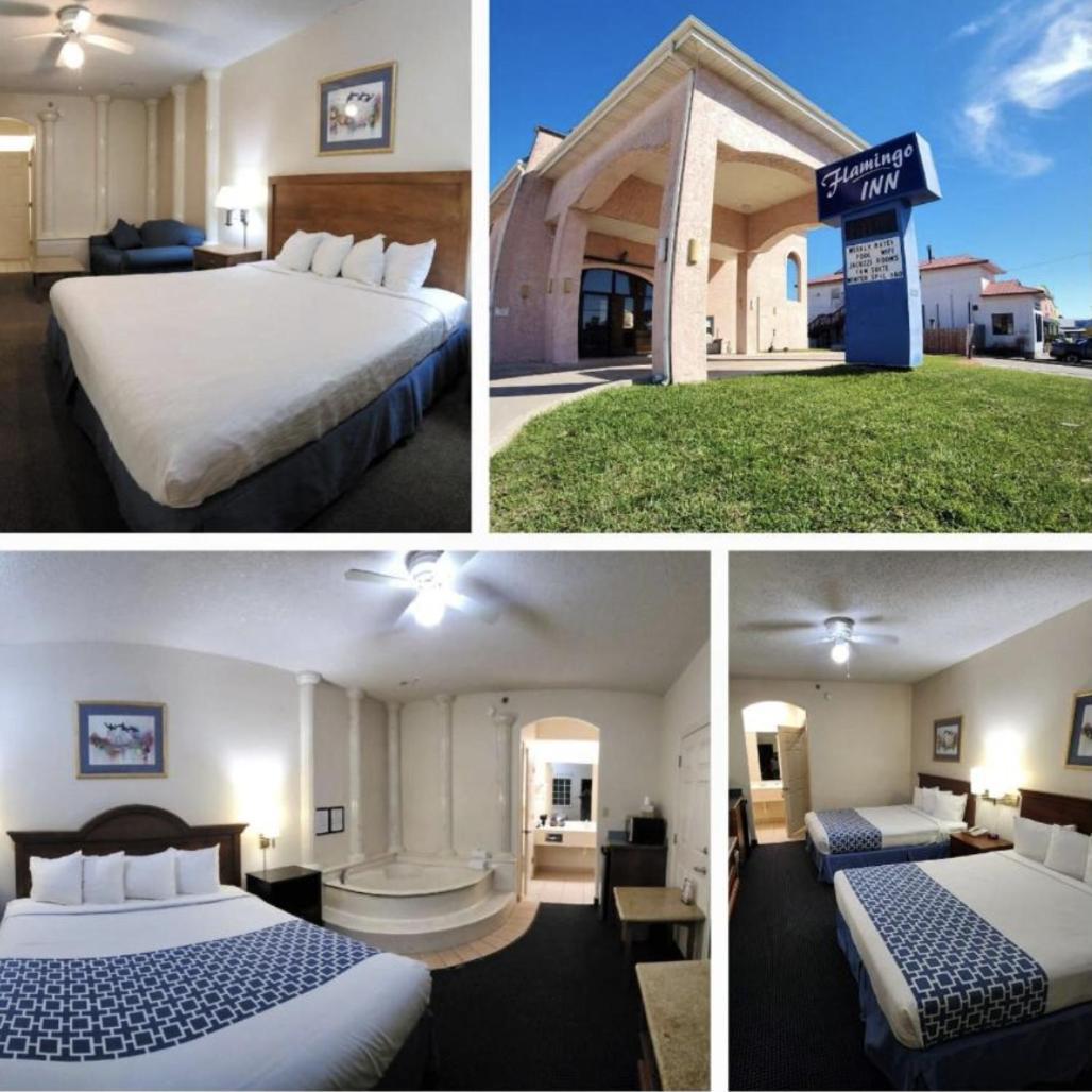 The Flamingo - South Padre Island Hotel Exterior photo